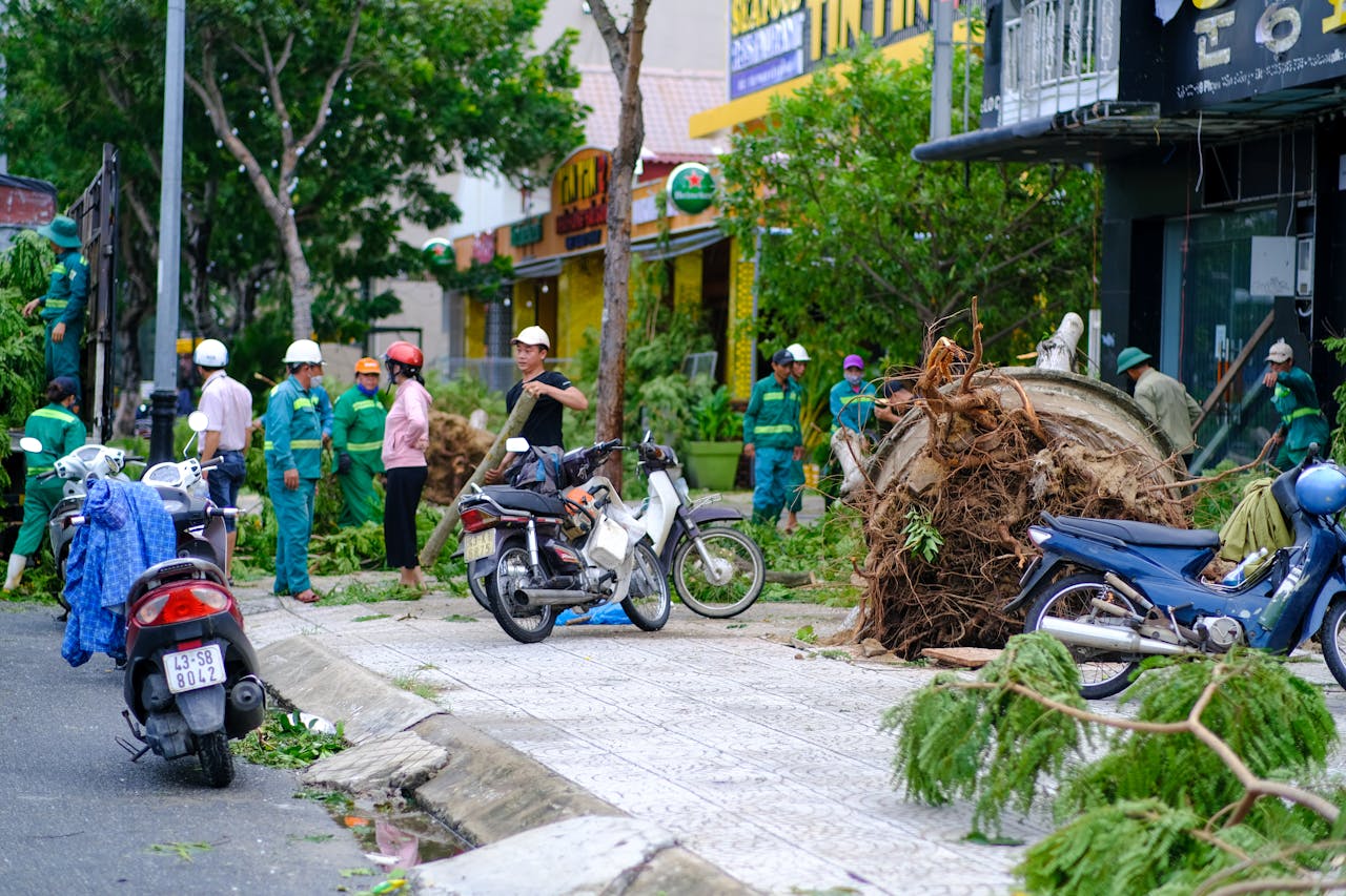 Workers clearing fallen trees in Da Nang, Vietnam after storm damage. Busy urban street with motorbikes and cleanup crew.